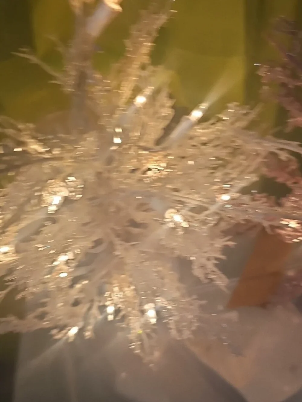 Pair of Lighted Decorative Floral Trees - White & Lavender 20
